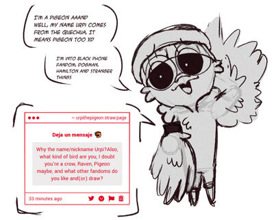 Pigeon the pigeon Lmao